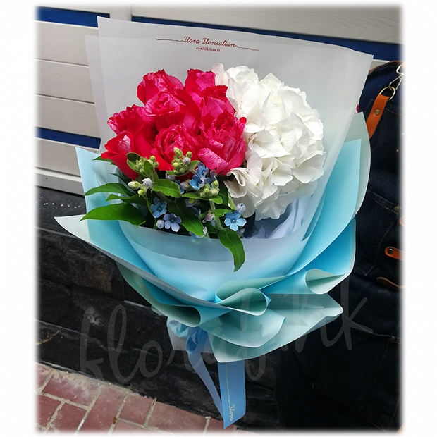 藍星花花束 肯亞雙色紅色粉紅色玫瑰花束 白色繡球花束 